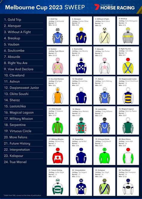 melb cup sweep|Melbourne Cup sweep: All the runners, how to play, .